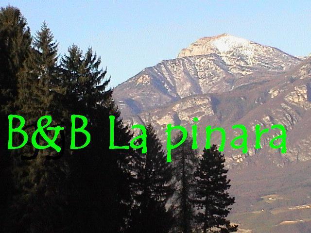 B&B La Pinara Trento Værelse billede